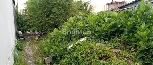 image TANAH STRATEGIS DISEWAKAN DIAREA JALAN DEWI SRI KUTA – BALI  (4)