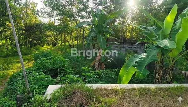 image DI JUAL TANAH TEGALAN LOKASI DI BRAMBANGAN MANYARAN   LOKASI DIJALAN PROPINSI MANYARAN - WONOGIRI (1)