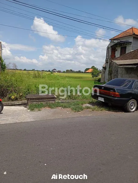 image TANAH SHM SIAP BANGUN 14 ARE BADUNG (2)