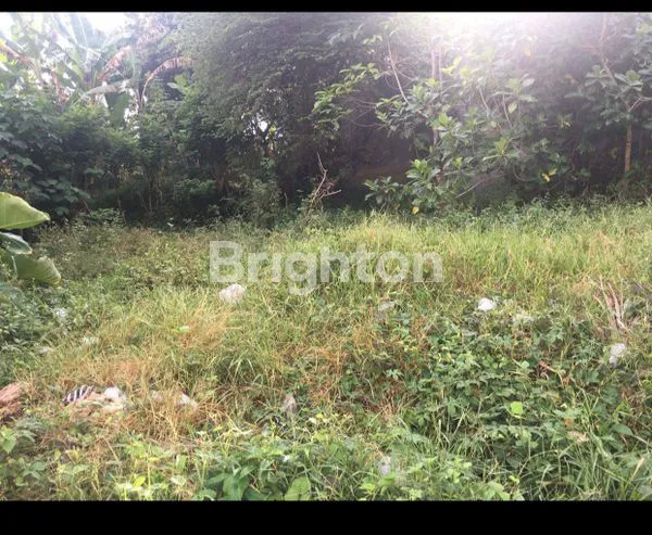 image DIJUAL TANAH STRATEGIS DI JL. DR. SOEKARNO, PERSIAPAN – TABANAN, BALI\\N (4)