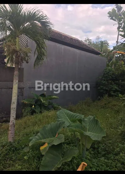 image DIJUAL TANAH STRATEGIS DI JL. DR. SOEKARNO, PERSIAPAN – TABANAN, BALI\\N (2)
