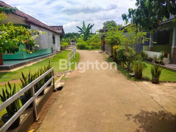 image TANAH LUAS SIAP BANGUN DI CILEUNGSI — LOKASI STRATEGIS & HARGA TERJANGKAU! (2)