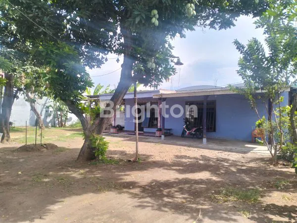 image KESEMPATAN EMAS! RUMAH LUAS DI PINGGIR JALAN PANTURA TONGAS, PROBOLINGGO (2)