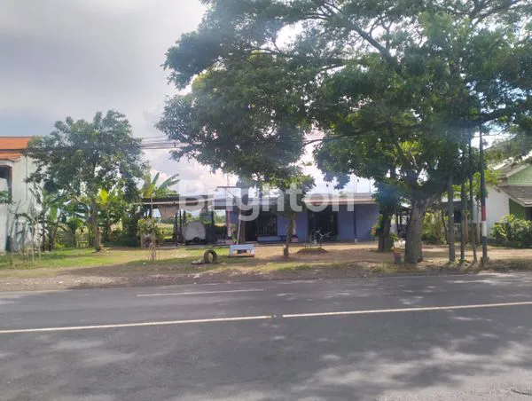image KESEMPATAN EMAS! RUMAH LUAS DI PINGGIR JALAN PANTURA TONGAS, PROBOLINGGO (1)