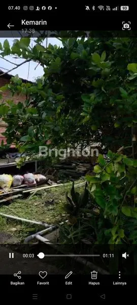 image TANAH DATAR SIAP BANGUN  (3)