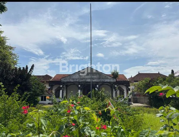 image INVESTASI LAHAN 52 ARE, SHM & LOKASI PREMIUM (3)