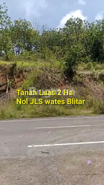 image TANAH STRATEGIS NOL JLS VIEW PANTAI GURAH WATES (3)