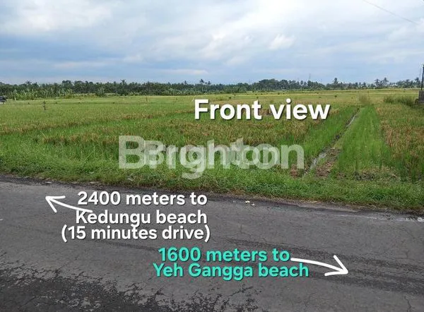 image LEASEHOLD LAND 1600 METERS FROM YEH GANGGA BEACH TABANAN BALI (5)