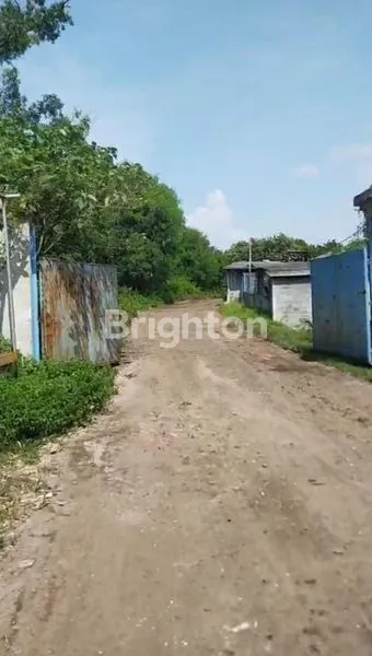 image LAHAN TANAH ROROTAN MARUNDA \N (1)