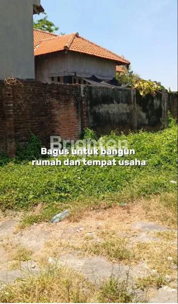 image TANAH DI RAYA BUNCITAN SEDATI SIDOARJO (2)