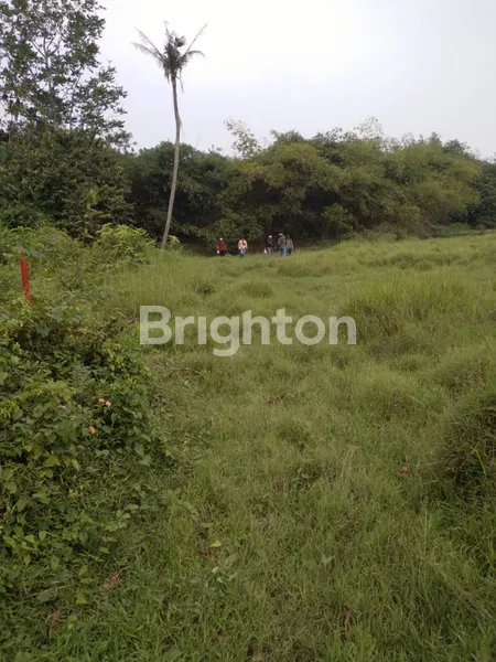 image TANAH BADAK ANOM UNTUK PERGUDANGAN DAN PERUMAHAN (1)