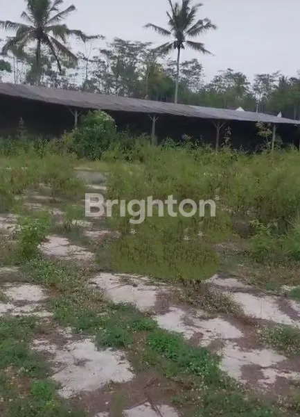 image GUDANG STRATEGIS DI TEMANGGUNG (8)