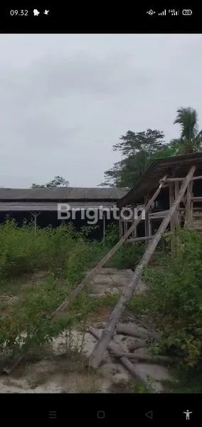 image GUDANG STRATEGIS DI TEMANGGUNG (3)