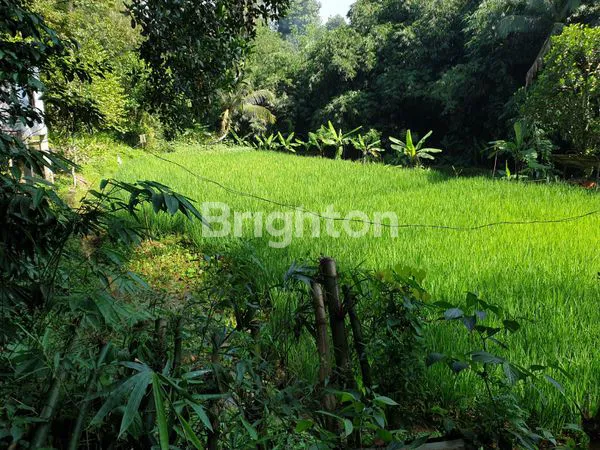image DI JUAL TANAH SUBUR DI CIJERUK (1)