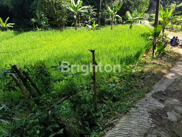 image DI JUAL TANAH SUBUR DI CIJERUK (3)