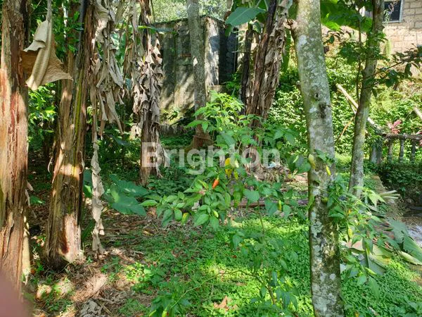 image DI JUAL TANAH DI DAERAH CIJERUK  (4)