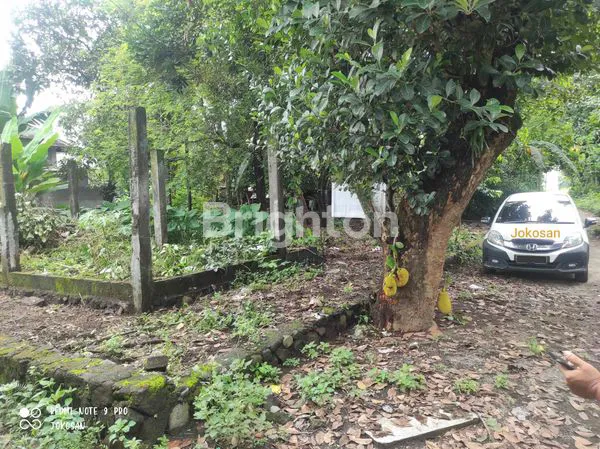 image TANAH PEKARANGAN AREA PALAGAN (1)