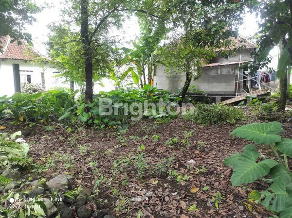 image TANAH PEKARANGAN AREA PALAGAN (3)