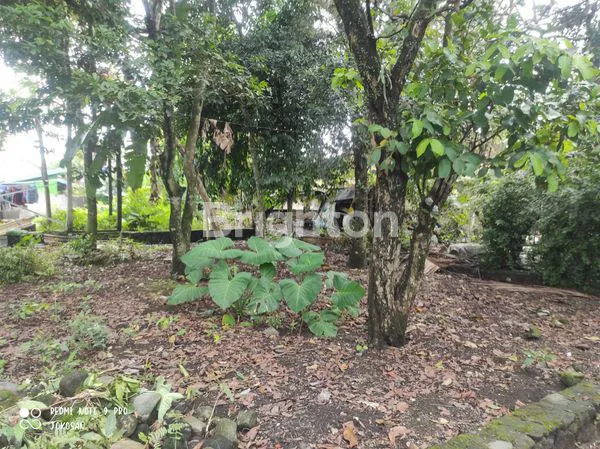 image TANAH PEKARANGAN AREA PALAGAN (6)