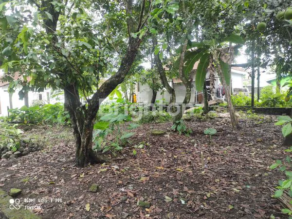 image TANAH PEKARANGAN AREA PALAGAN (5)