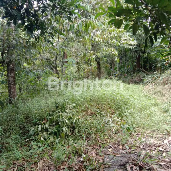image LAHAN STRATEGIS 20.600M² PINGGIR JALAN, BALIKPAPAN UTARA KM 14 (2)