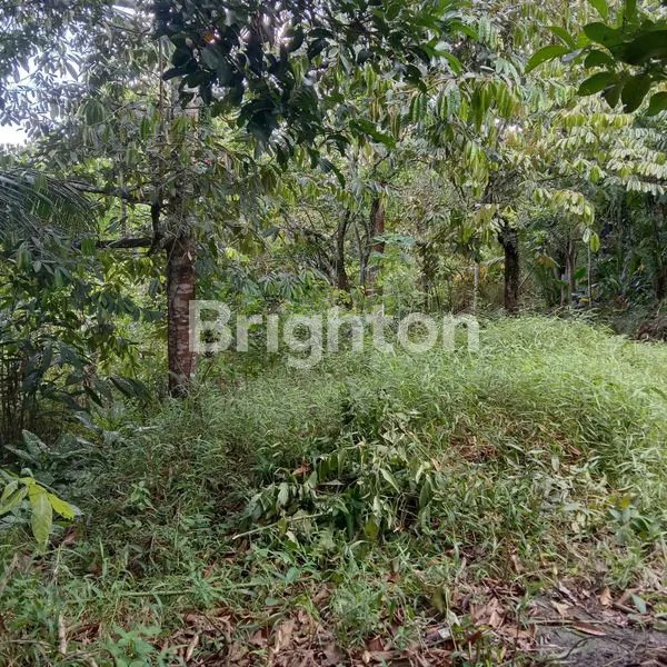 image LAHAN STRATEGIS 20.600M² PINGGIR JALAN, BALIKPAPAN UTARA KM 14 (1)