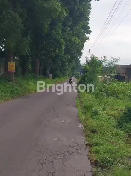 image TANAH STRATEGIS DI TEMANGGUNG (1)