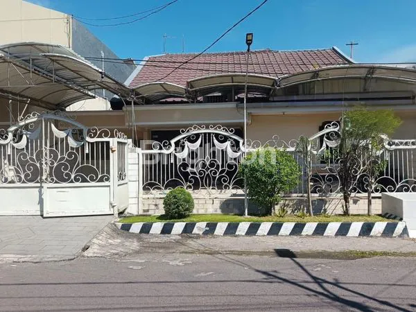 image MANYAR REJO (1)