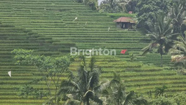 image DIJUAL TANAH VIEW AIR TERJUN DAN PERSAWAHAN DI TABANAN (5)