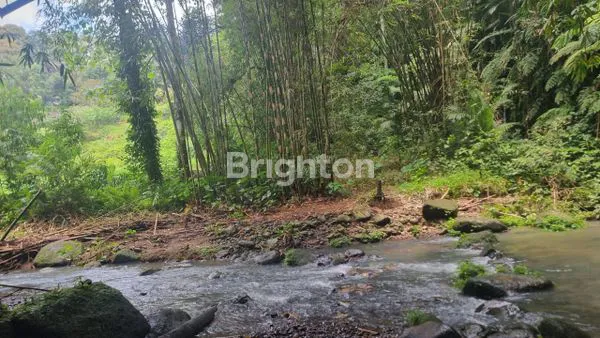 image DIJUAL TANAH VIEW AIR TERJUN DAN PERSAWAHAN DI TABANAN (7)