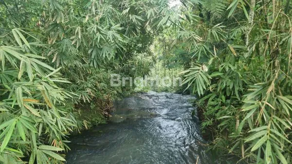 image DIJUAL TANAH VIEW AIR TERJUN DAN PERSAWAHAN DI TABANAN (2)