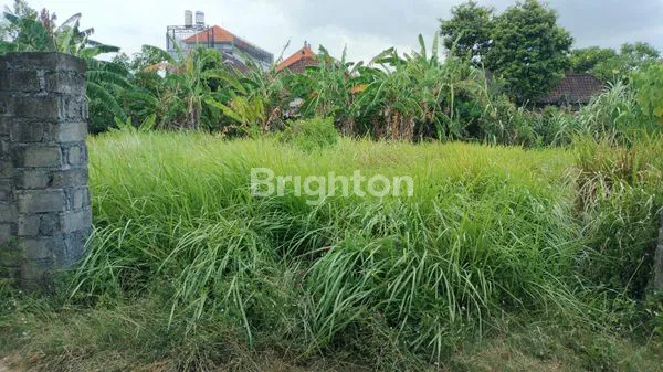 image TANAH STRATEGIS 4 ARE DIJALAN SEDAP MALAM -DENPASAR SELATAN COCOK UNTUK HUNIAN DAN INVESTASI (1)