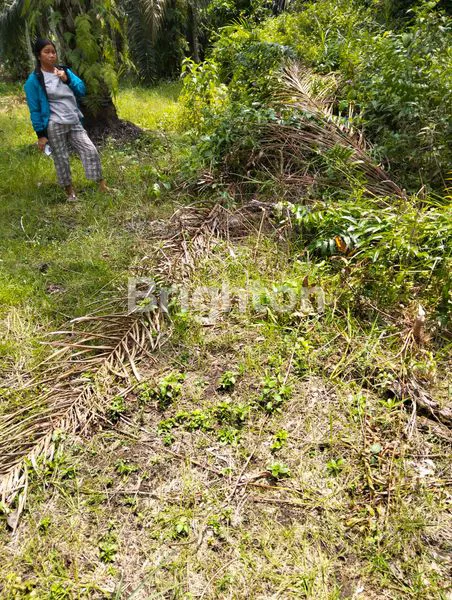 image TANAH KAVLINGAN DESA BARU (2)