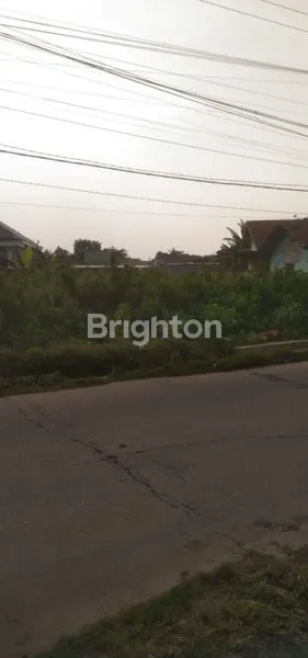 image TANAH SHM 817M² AKSES TOL CIBITUNG (4)