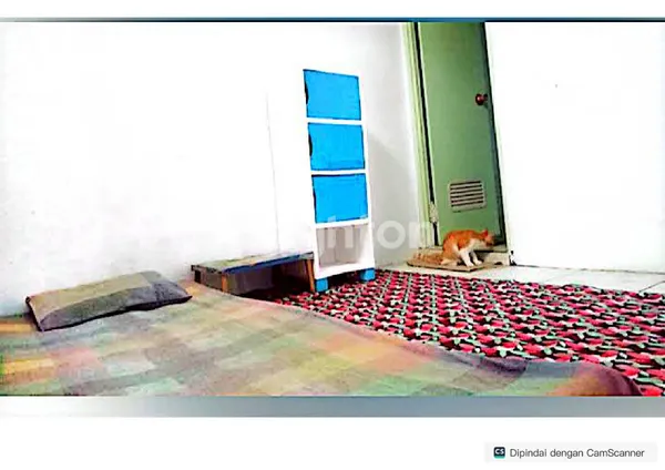 image RUMAH 2 LANTAI KOS NOL JALAN DEKAT PABRIK NESTLE WONOREJO PASURUAN (3)