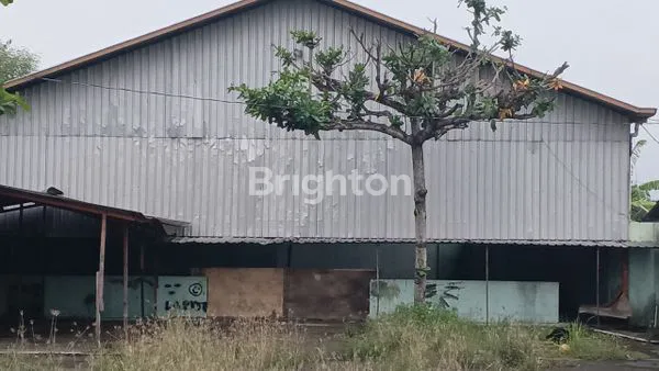 GUDANG ZONA MERAH 1.100 M2 DI MASARAN SRAGEN