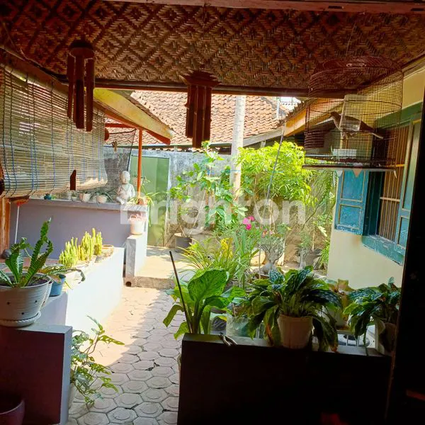 image RUMAH BANGUNAN TUA  DIKOTA NGANJUK (6)