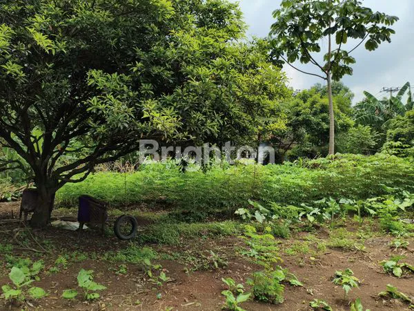 image TANAH STRATEGIS SETU 1.114M² DEKAT TOL (4)