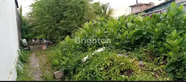 image TANAH DI SEWA SEMINYAK (2)