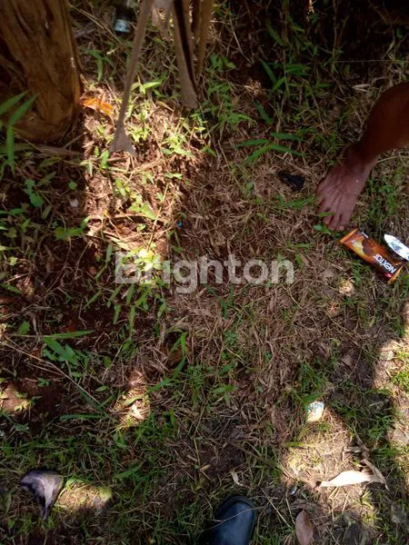 image TANAH STRATEGIS DEPOK DEKAT MALL & STASIUN (2)