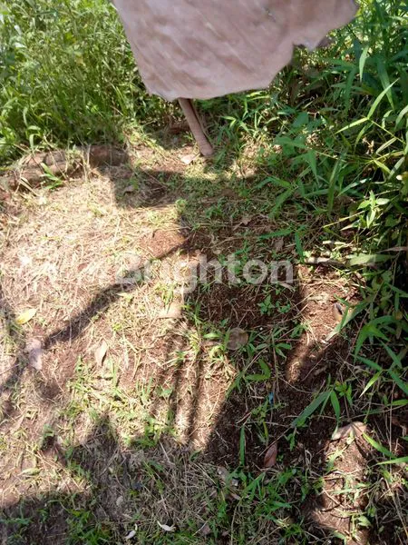 image TANAH STRATEGIS DEPOK DEKAT MALL & STASIUN (3)