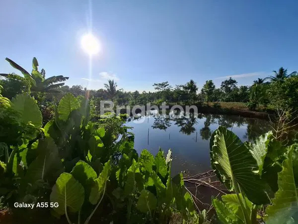 image INVESTASI HOTEL LAMPUNG, SHM & SIAP RESORT (7)