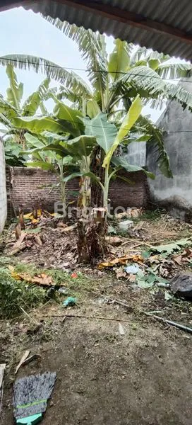 image RUMAH STRATEGIS DEKAT TOL & LIPPO (6)