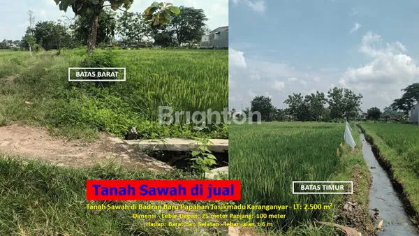 image TANAH SAWAH DI PAPAHAN KARANGANYAR (2)