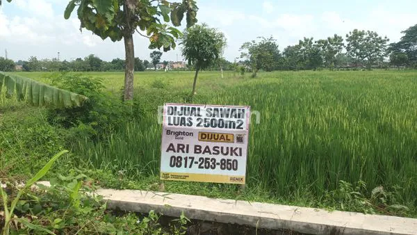 image TANAH SAWAH DI PAPAHAN KARANGANYAR (4)