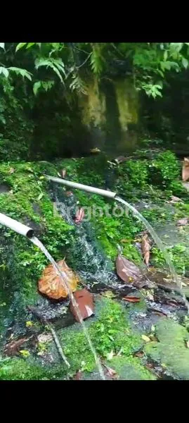 image TANAH 1,2HA TABANAN KETINGGIAN 380METER (1)