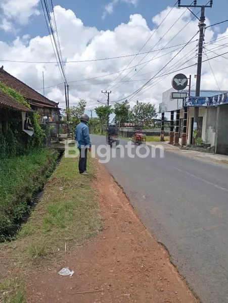 image DISEWAKAN TANAH STRATEGIS 13 ARE DI JALAN TAHAN PUTIH, DARMASABA - SHM HADAP BARAT (6)