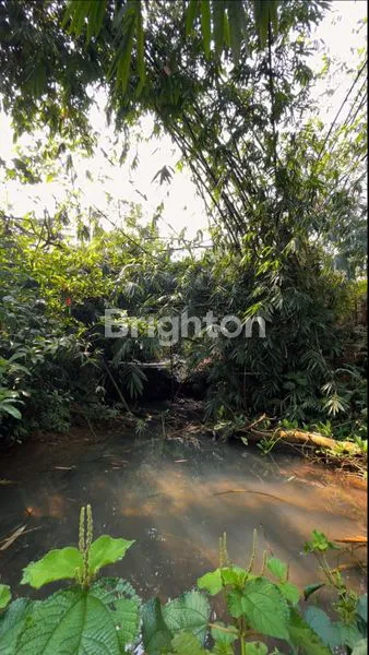 image TANAH LUAS DI DRAMAGA, CIAMPEA BOGOR (3)