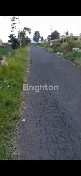 image TANAH DATAR. LOKASI PAKUHAJI , DESA CILAME JAWABARAT INFONESIA (3)