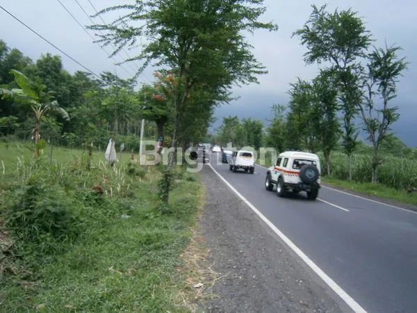 image TANAH RAYA PROBOLINGGO LUMAJANG (2)